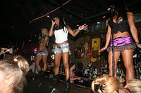 Singing Coyotes04